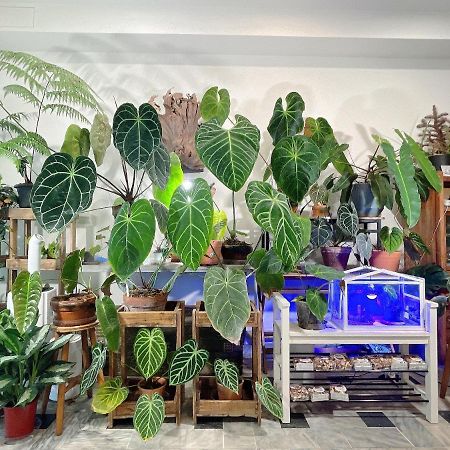 Home In Tainan Esterno foto